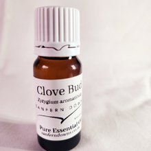 Load image into Gallery viewer, Clove Bud Esential Oil- 10ml