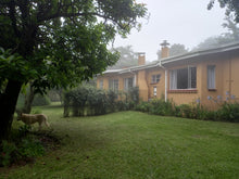 Load image into Gallery viewer, Front view of Sanfern Downs Cottages in the mist