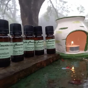 Essential Oils and Burner Package