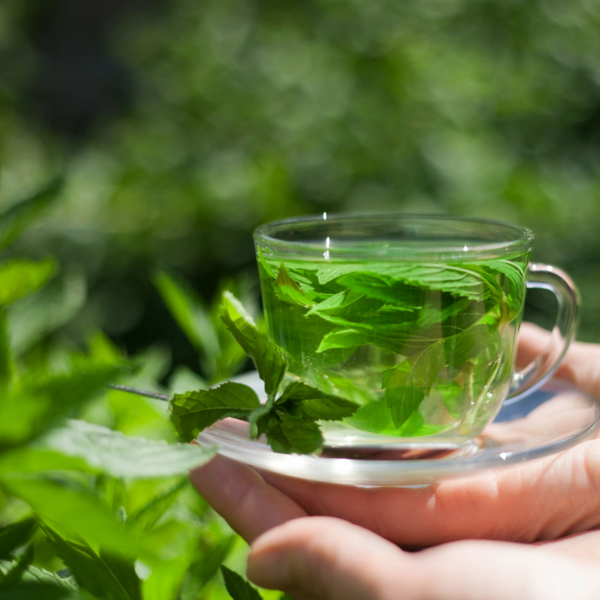 Unlocking Your Inner Calm: Harnessing Nervine Adaptogens for a Stress-Free Life