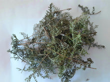 Load image into Gallery viewer, African Wormwood - Dried leaves per 30 g
