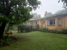Load image into Gallery viewer, Front view of Sanfern Downs Cottages in the mist
