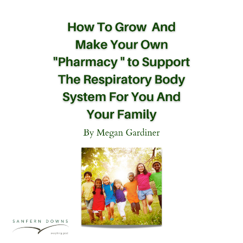 Beginners guide on how to grow your own `Pharmacy` to support the respiratory body system.